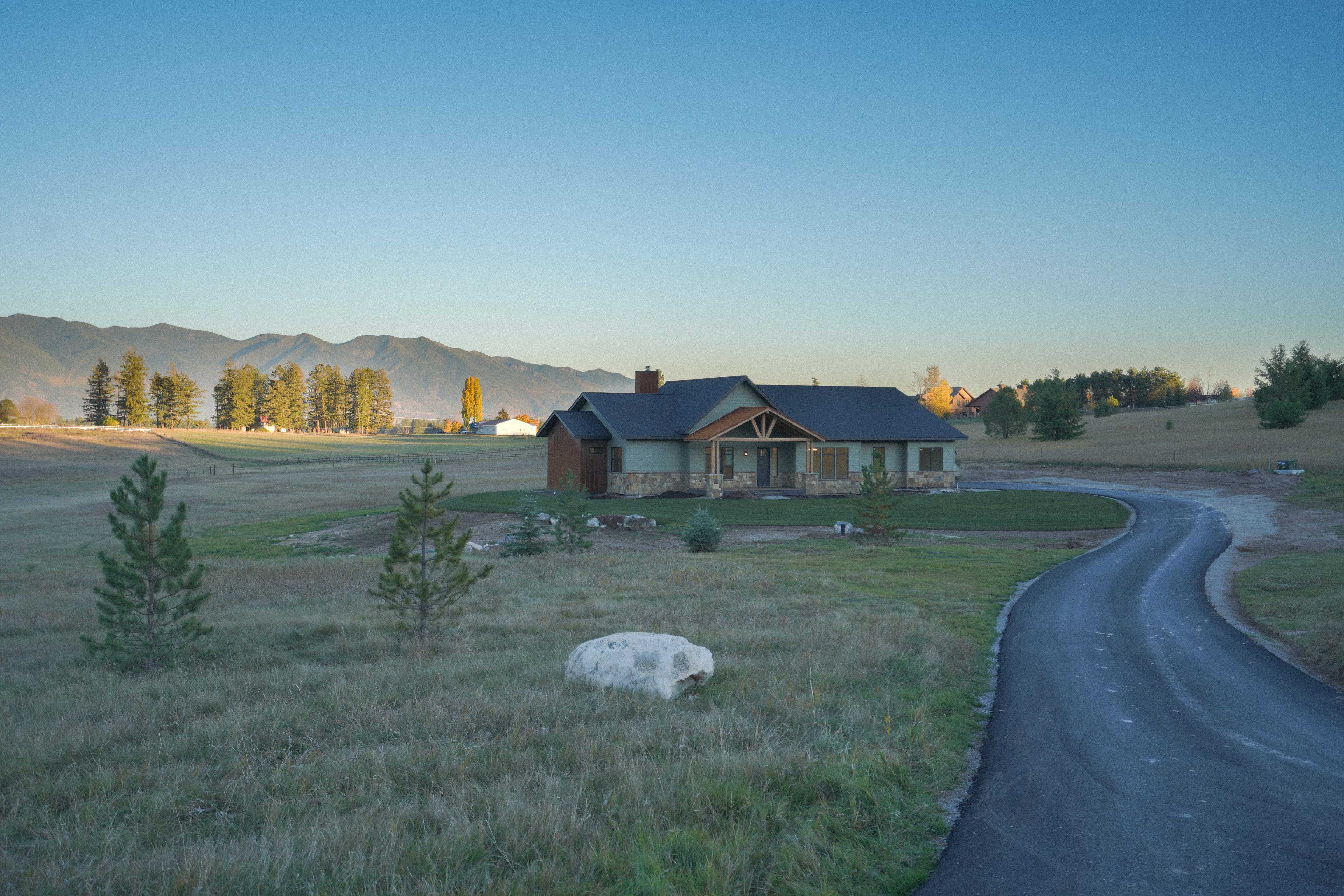 Cover Image for Alpine Meadow