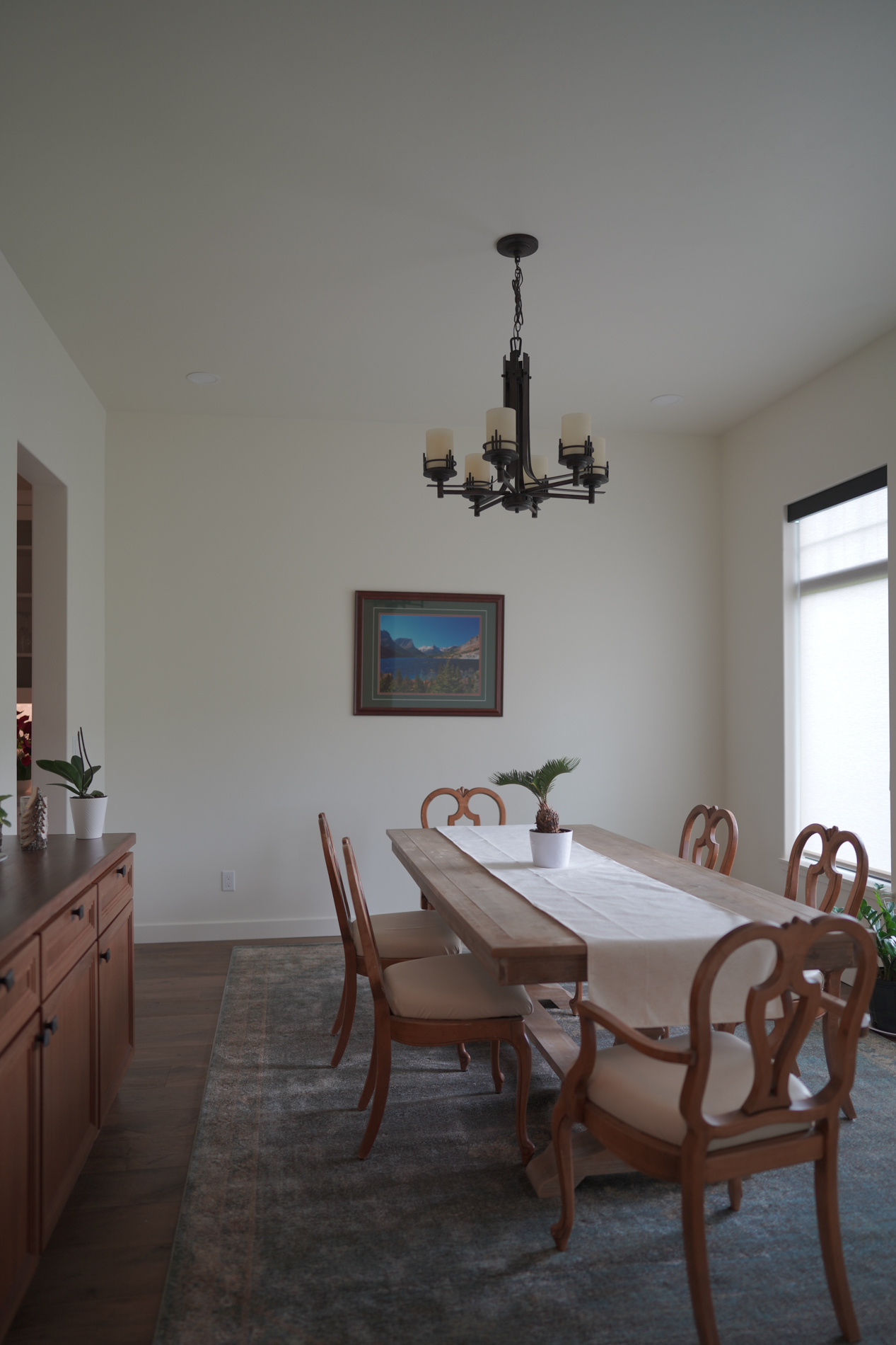 Alpine Meadow Mountain View