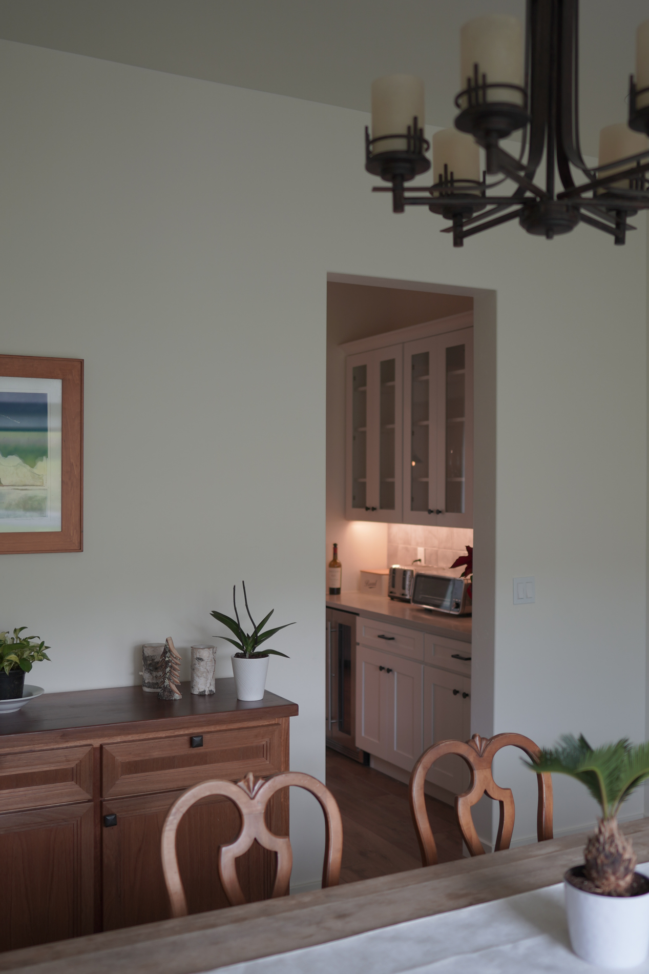 Alpine Meadow Scenic View