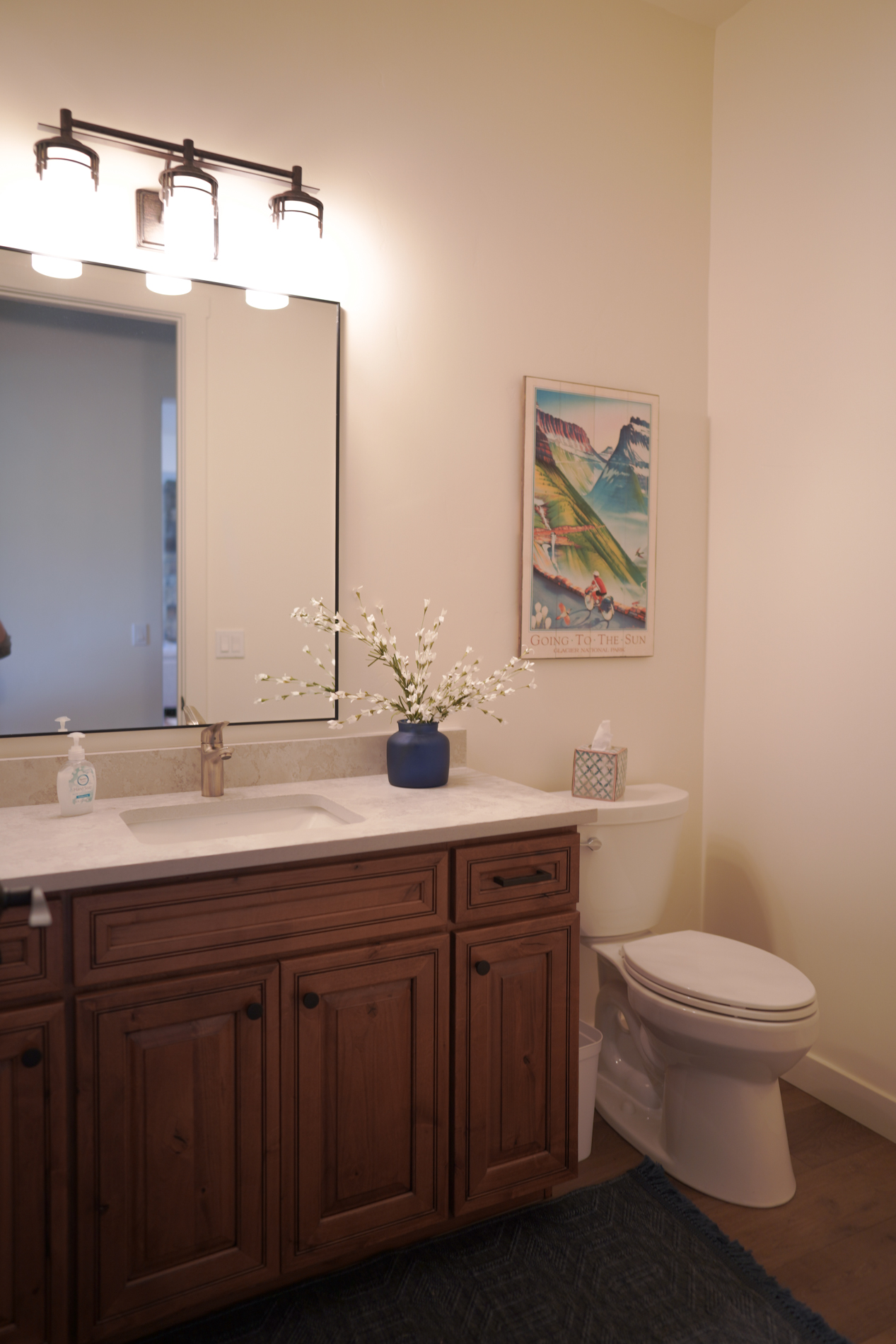 Alpine Meadow Nature