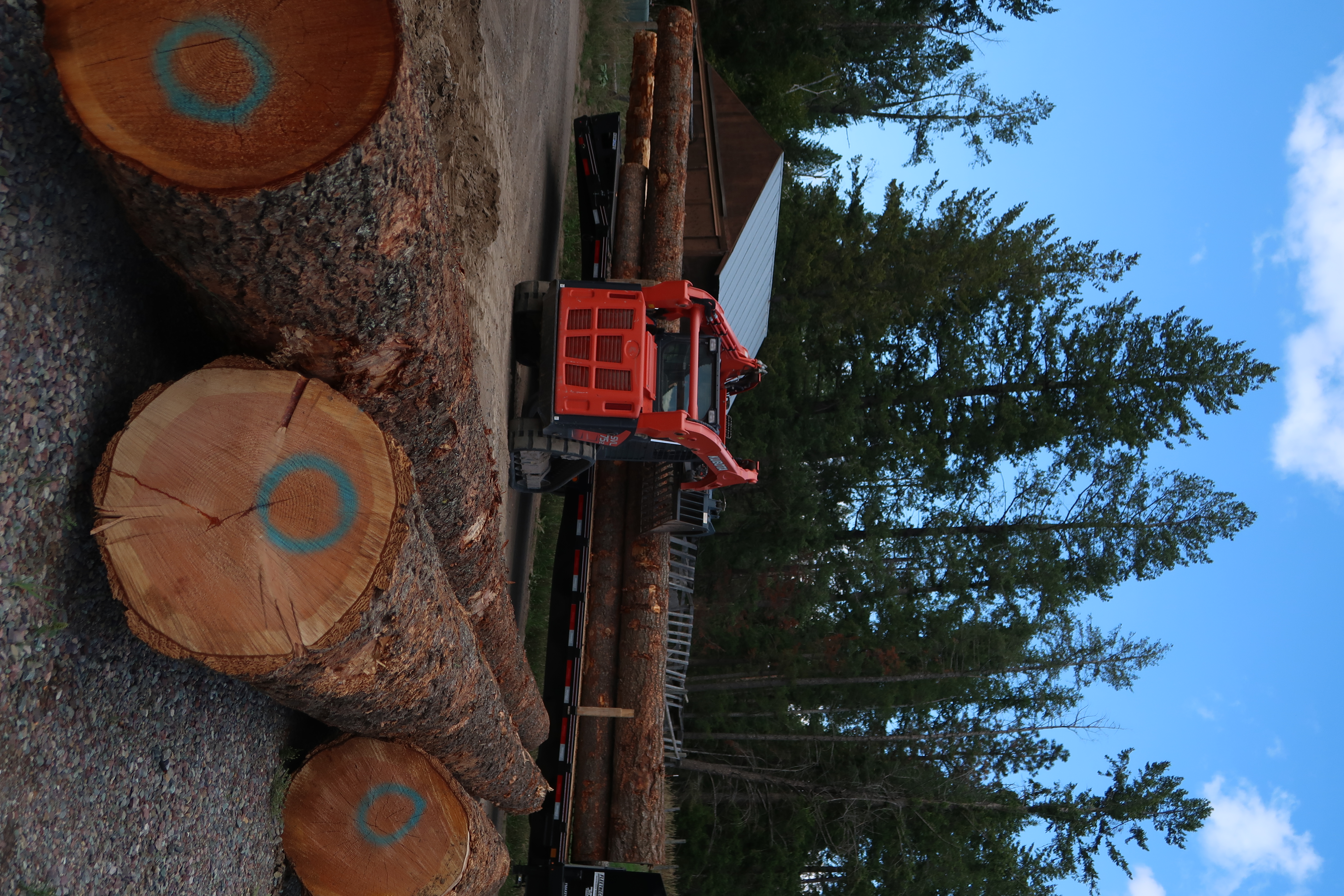 Timber Frame Joint Detail