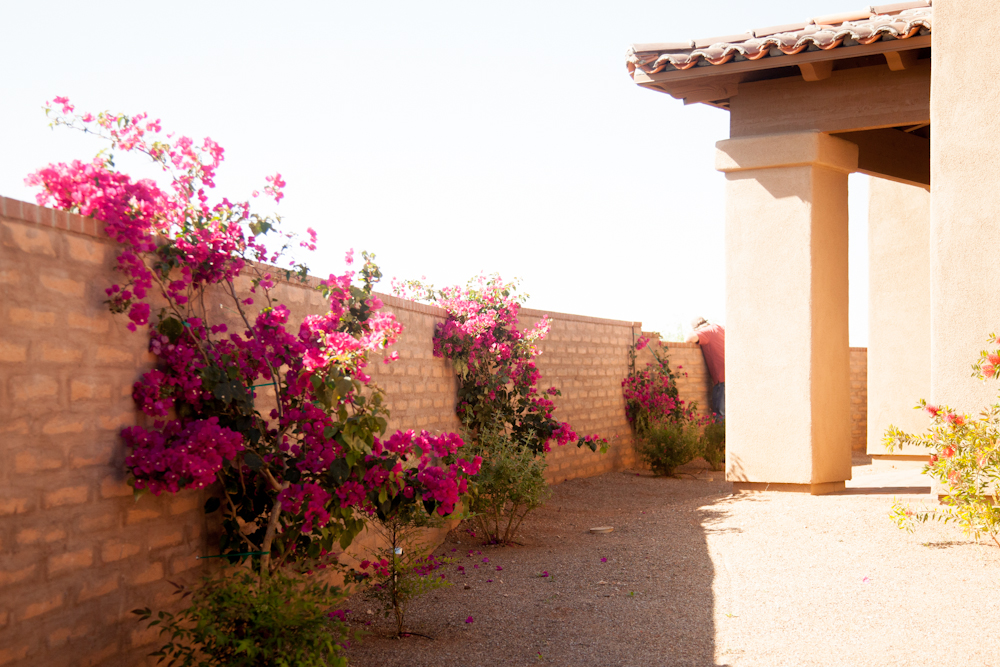 Bobcat House Exterior